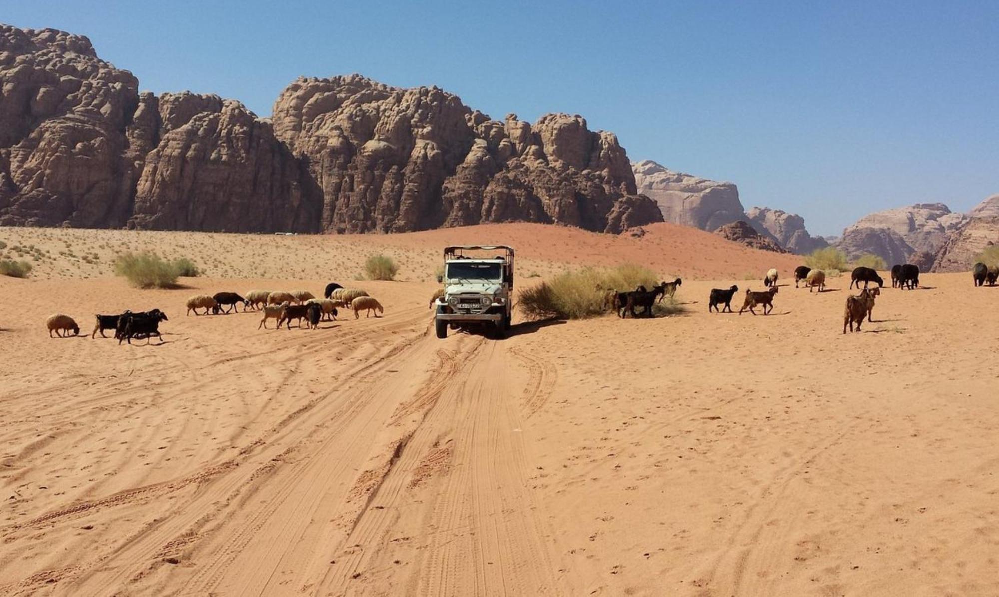 Authentic Bedouin Camp Ram Vadisi Dış mekan fotoğraf